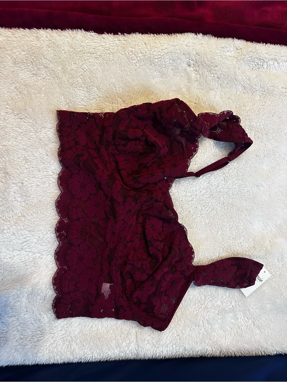 aerie Lace Bralette in Burgundy